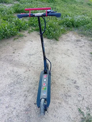 Patinete eléctrico Skaterflair