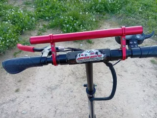 Patinete eléctrico Skaterflair