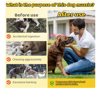 Museruola Cane Silicone Regolabile