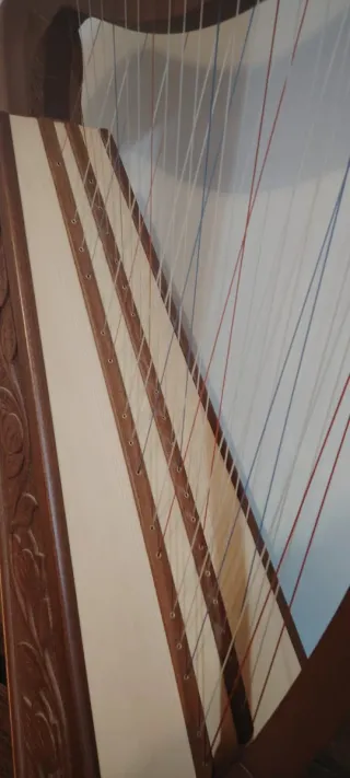 Arpa de 38 cuerdas cruzadas.