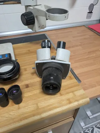 Microscopio Estéreo Binocular WF10X/20