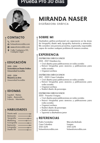 ✍️ Currículums profesionales