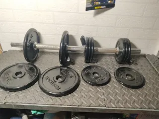 Mancuernas ajustables con discos