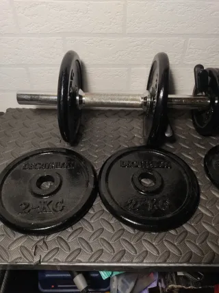 Mancuernas ajustables con discos