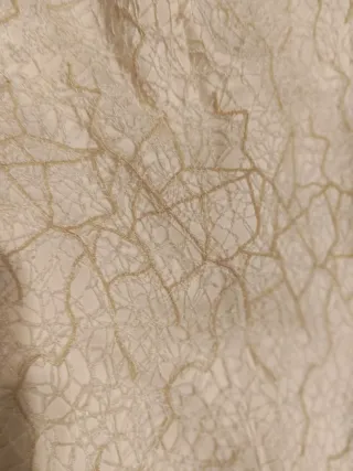 Conjunto Novia Pepe Botella Blanco y crema, guipur