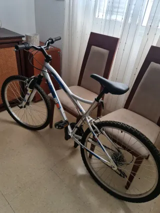 Bicicleta Aluminio Gris 7 Marchas