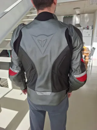 Chaqueta de moto Dainese de piel