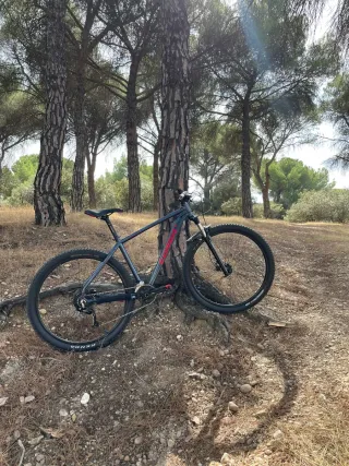 Bicicleta MTB 29