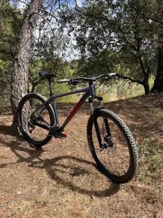 Bicicleta MTB 29