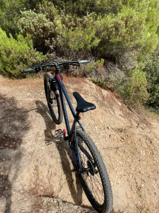 Bicicleta MTB 29