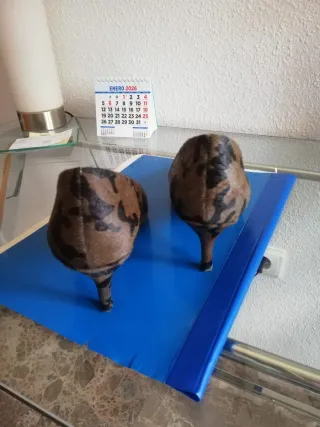 Elegantes Zapatos de Piel