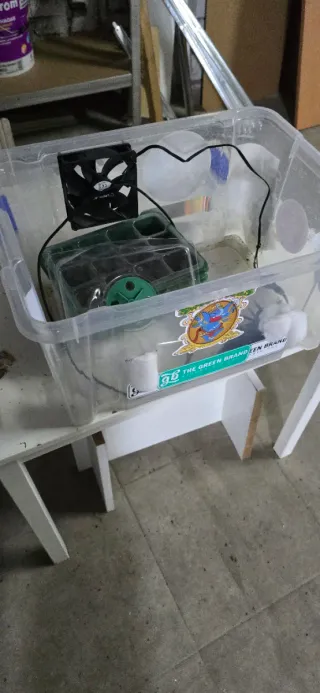 Pack Cultivo indoor.