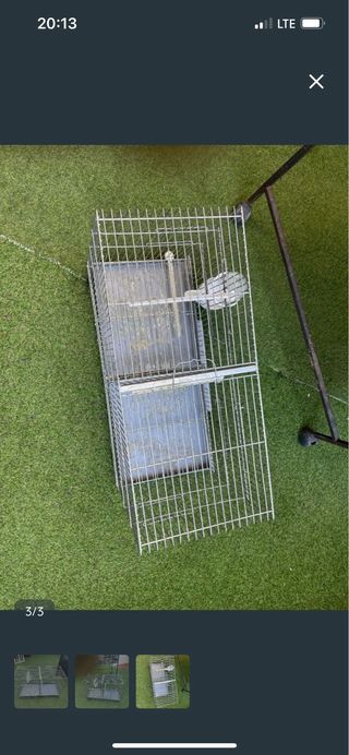 Jaula plateada para pájaros