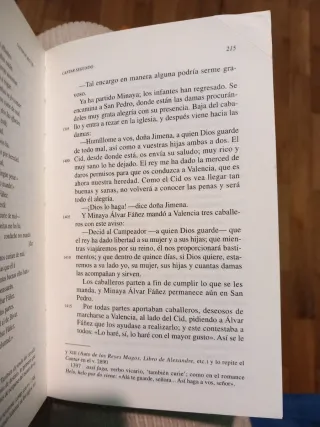 Cantar de Mio Cid (Spanish Edition)