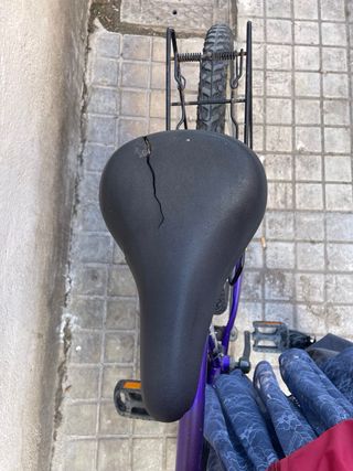 Bicicleta MBM Morada
