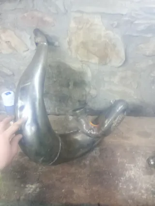 Bufanda Escape KTM EXC 250 2015