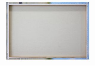 Cuadro Mujer y Loro 100x100cm