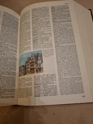 Salvat/ uno diccionario encipodedico basico