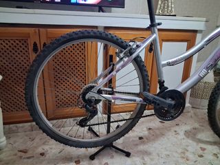 Bicicleta Aluminio Mujer