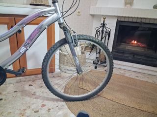 Bicicleta Aluminio Mujer