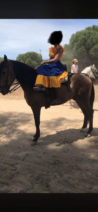 Conjunto amazona azul y amarillo