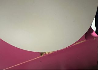 Cama nido con cajones rosa y blanco