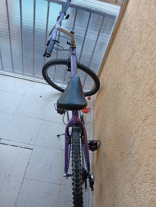 Bicicleta Aluminio BH Top Line