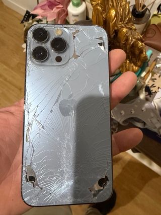 iPhone 13 Pro Max Negro