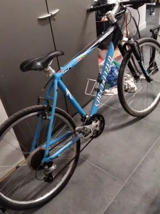 Bicicleta de Montaña Specialized