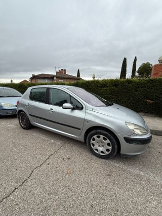 Peugeot 307 5p XT 1.6 gasolina etiqueta B