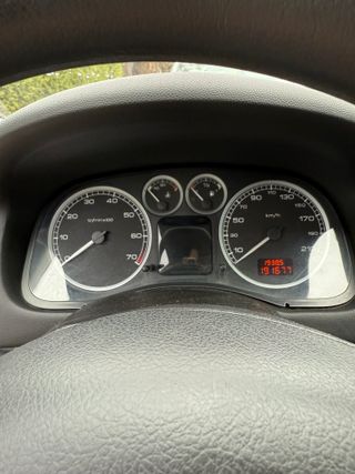 Peugeot 307 5p XT 1.6 gasolina etiqueta B