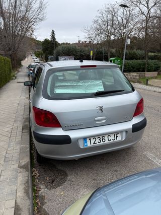 Peugeot 307 5p XT 1.6 gasolina etiqueta B