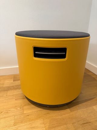 Turnstone Buoy Mostaza