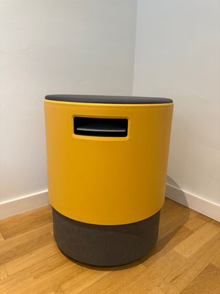 Turnstone Buoy Mostaza