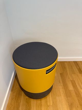 Turnstone Buoy Mostaza