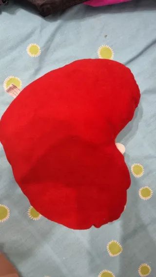 Peluche Corazón Te Quiero