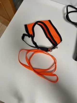 Arnés para gato con correa