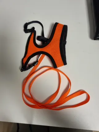 Arnés para gato con correa