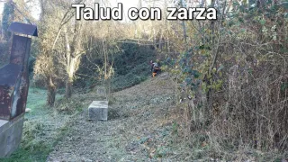 Desbroce de parcelas, fincas y taludes
