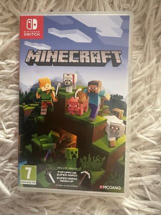 Minecraft Nintendo Switch