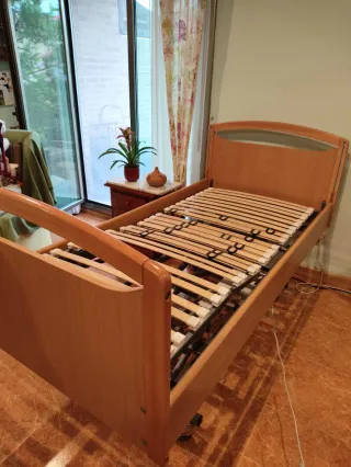 Cama eléctrica articulada