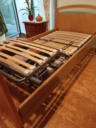Cama eléctrica articulada