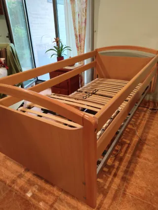 Cama eléctrica articulada
