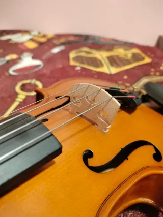 Viola Thomann 13 pulgadas