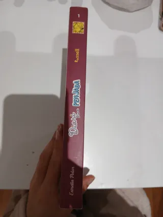 Diari d'una penjada 1. Manual de supervivència ...