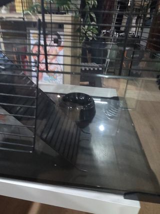 Jaula para roedores pequeños