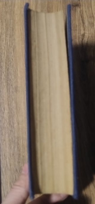 Opiniones del gato Murr sobre la vida.