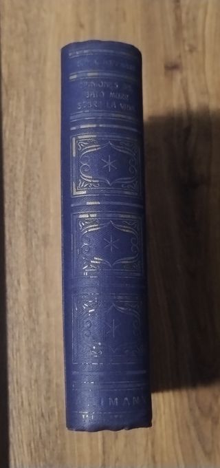 Opiniones del gato Murr sobre la vida.