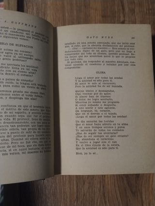 Opiniones del gato Murr sobre la vida.