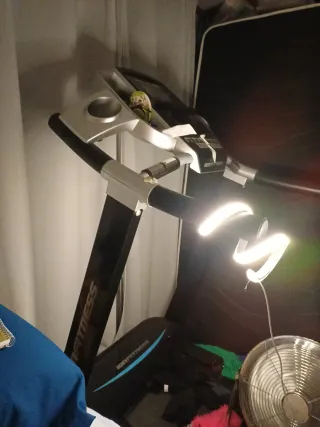 Cinta de correr hasta 15 km/h